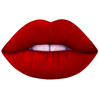 Liquid Lipstick Bonfire - Crybaby Cosmetics Co.